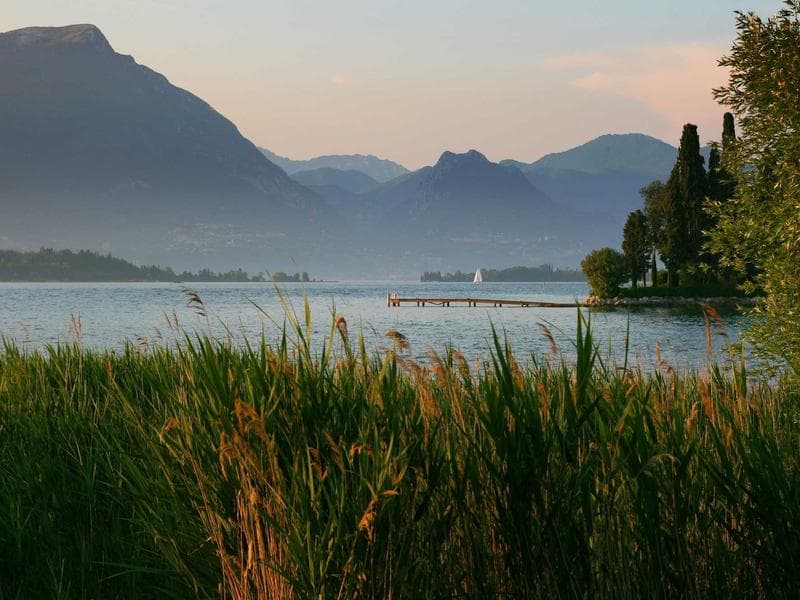 English Games for Grammar