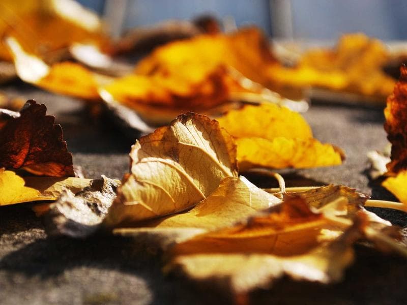 Smart Test Maker Pro